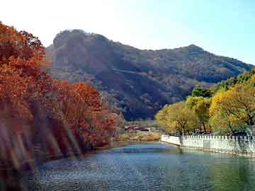 澳门版全年免费大全，西北旅游论坛